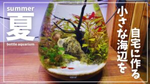 bottleaquarium