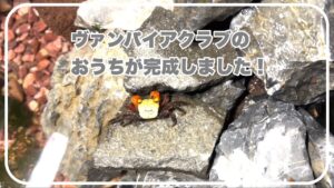 unnamed-file-11