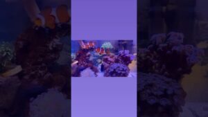 unnamed-file-28