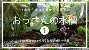 1K-aquarist-1-1