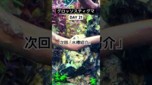 21-aquarium-