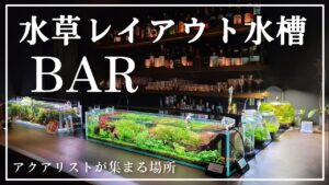 BARaquarium