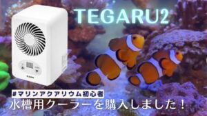 TEGARU2