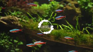 unnamed-file-14