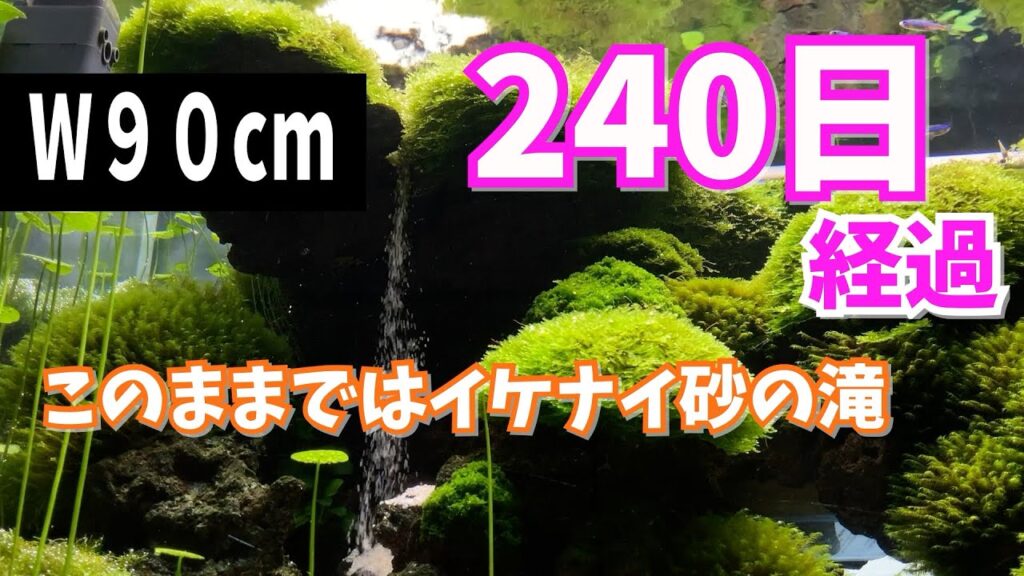 waterfall-sand-aquarium.water-plants.