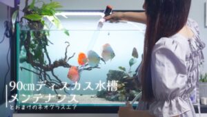 90cm-Aquarium.