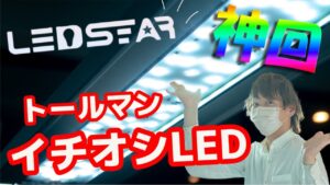 RGBLEDSTAR