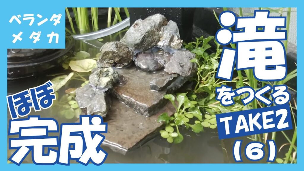 TAKE-