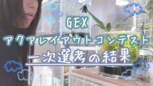 VlogGEX2023