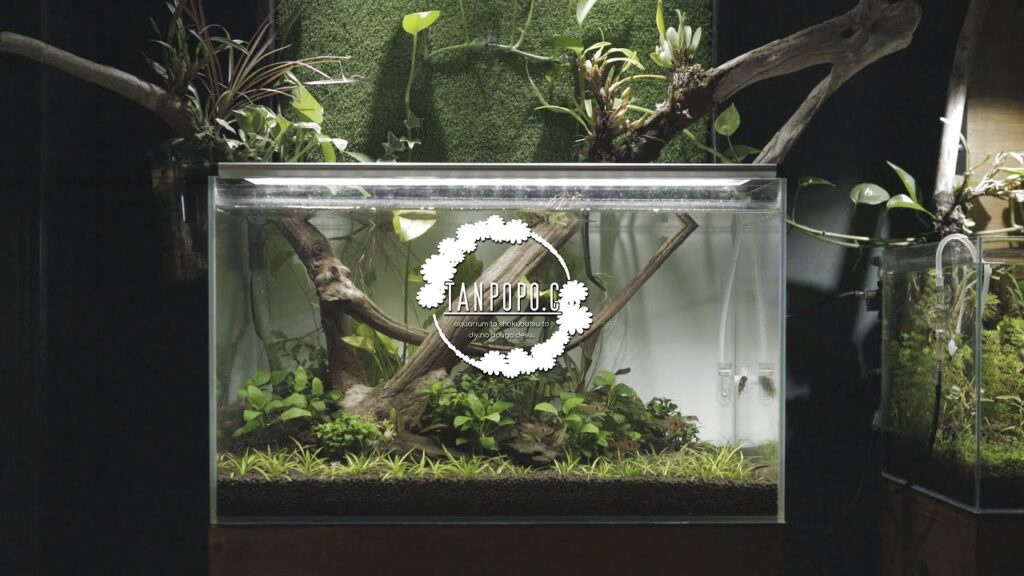 W60cm-Plant-leaf-wall-aquarium