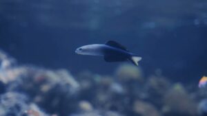 unnamed-file-22