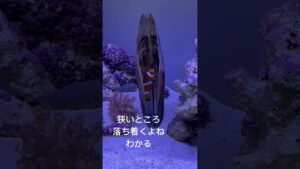 unnamed-file-6