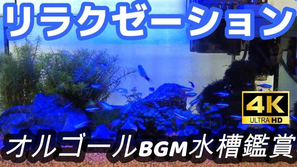 BGM5320BGM