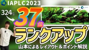 TVIAPLC2023-