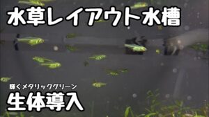 unnamed-file-8