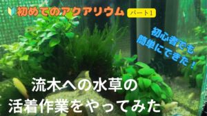 1-