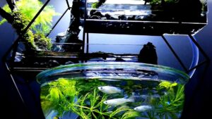 100DIY-