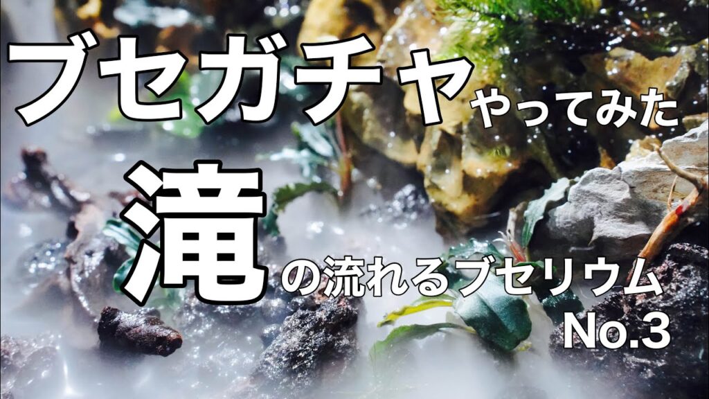 3-aquarium-
