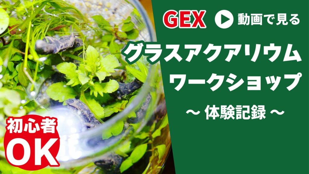 GEX