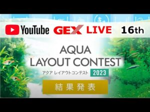 GEX2023-GEX-LIVE-16th