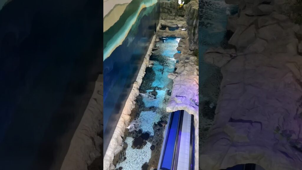 Kuwait-Culture-Centre-Aquarium-shorts-aquarium-aquariustravel