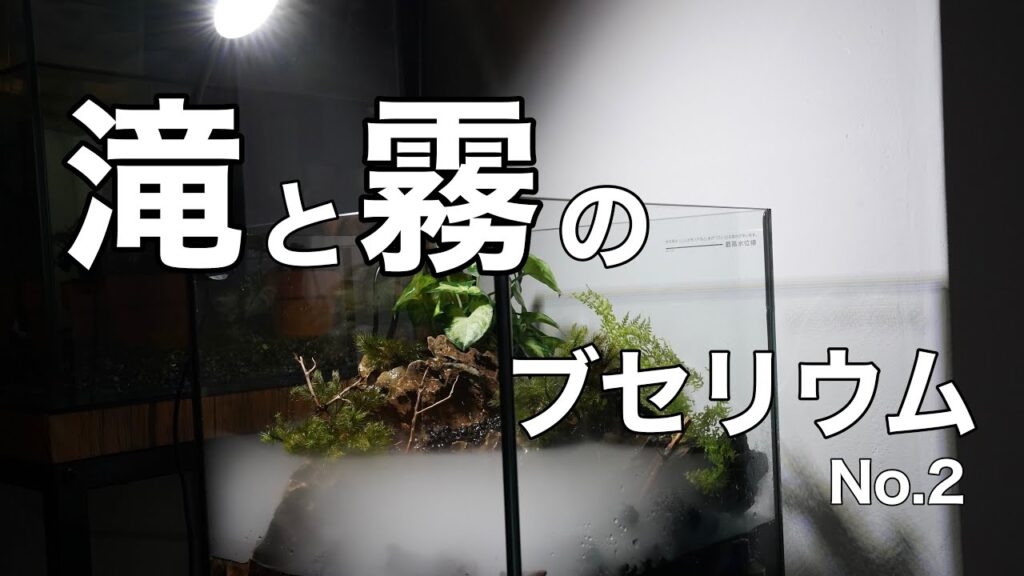 No.2aquarium