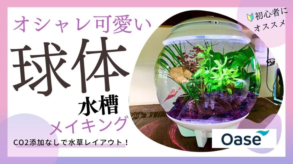 OASE-Biorb-HALO15ADAGEX