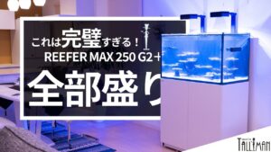 REEFER-MAX-250-G2in