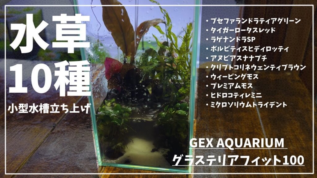 aquarium-