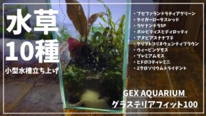 aquarium-