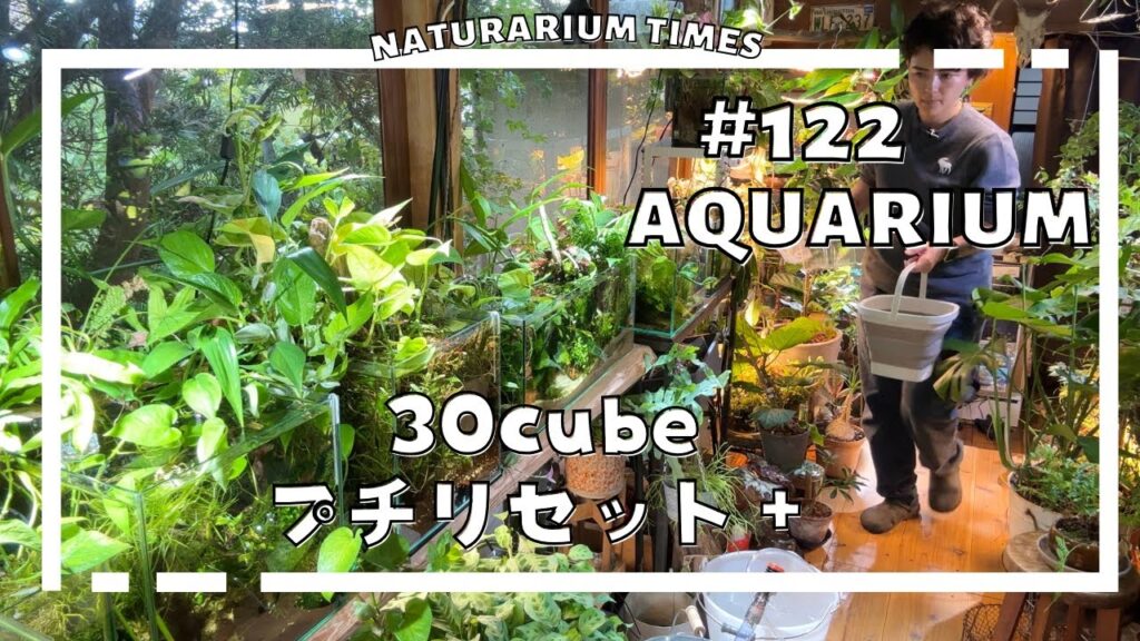 naturariumtimes