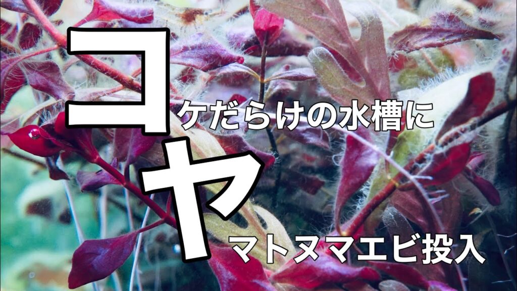 unnamed-file-2
