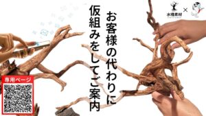 unnamed-file-4