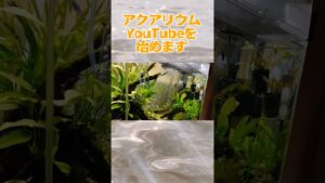 1-