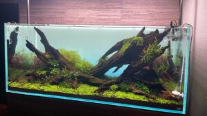 11200TV