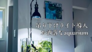 aquariumHARUDESIGN
