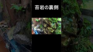 unnamed-file-13