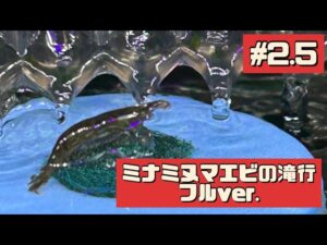 ver.2.5