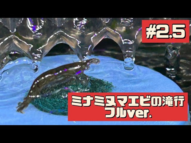 ver.2.5
