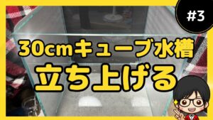 30cm3