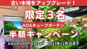 ADA-2