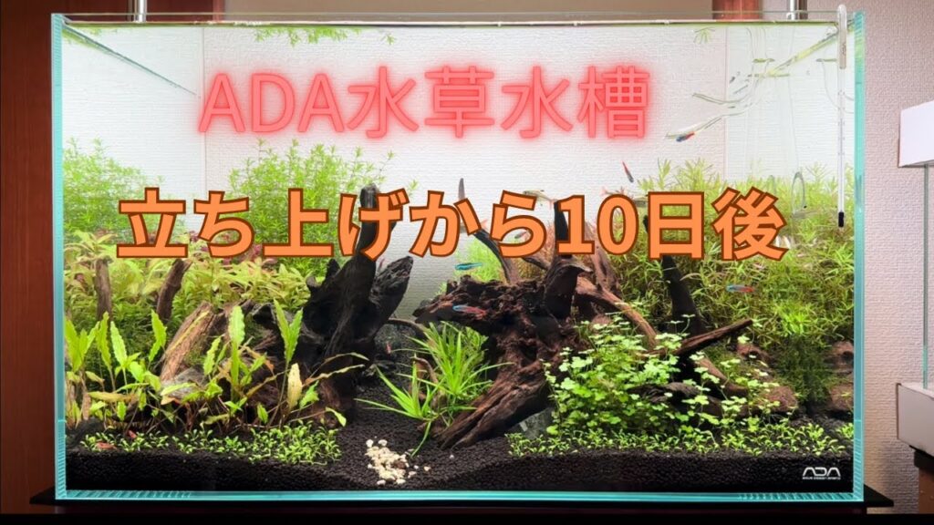 ADA-60x45x36-