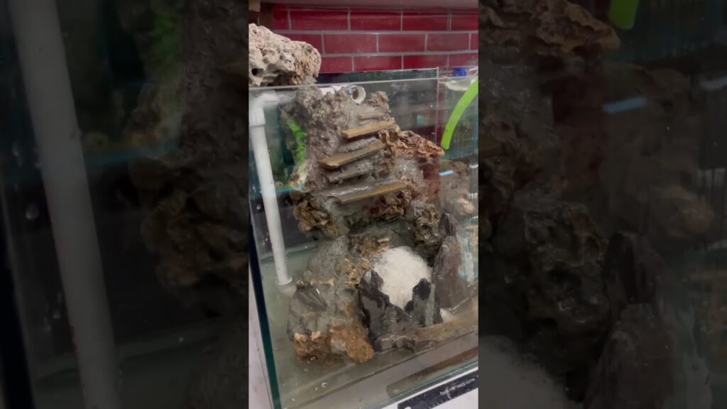 WOW-Sand-waterfall-in-aquarium-part-2-fish-aquarium-fishfood-youtubeshorts-shorts-viral