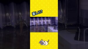 aquarium-