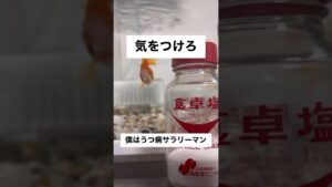 goldfish-shorts-1