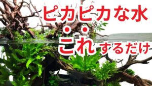 unnamed-file-12
