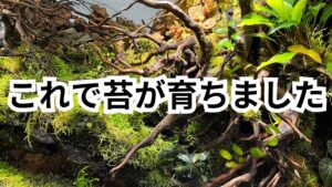 unnamed-file-8