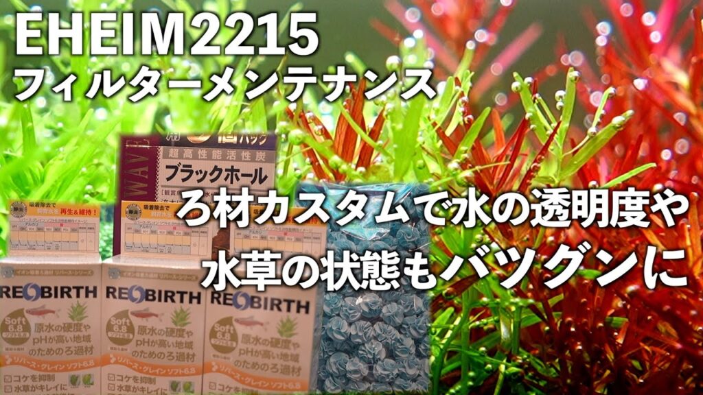 2215aquarium-aquarium-