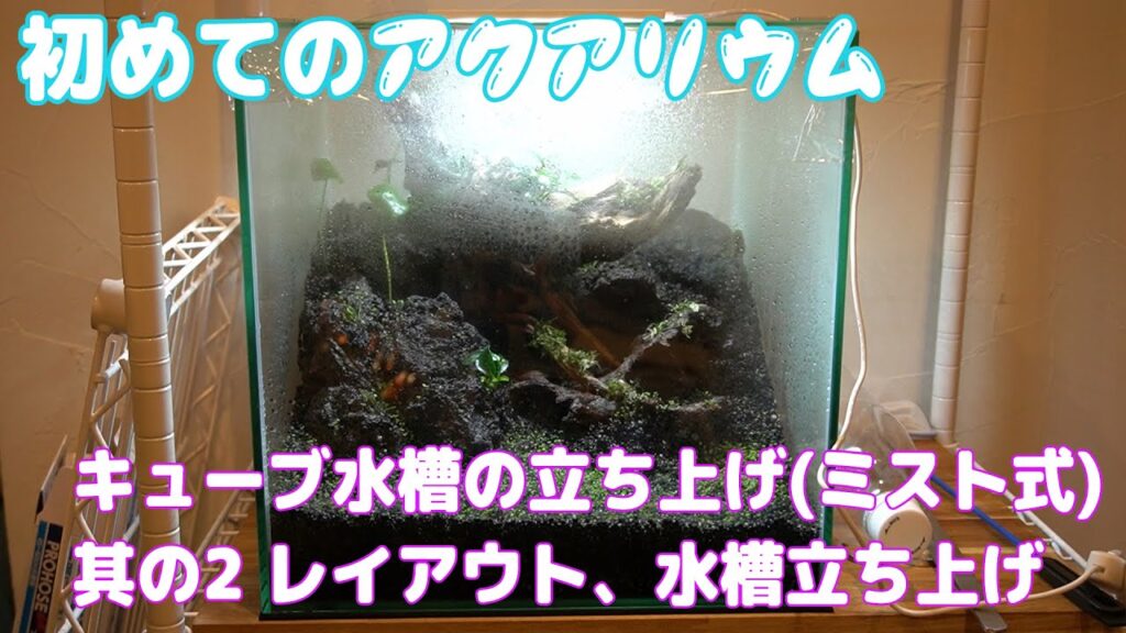 30cm-2-