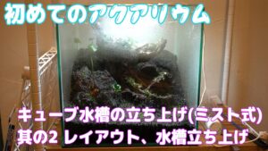 30cm-2-